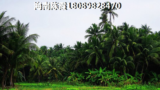 彭山领地观江府3室2厅1厨2卫建面109.00㎡
